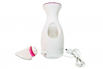 YZ Face Steaming Device Humidifier Nano Lonic Facial Steamer Beauty Instrument